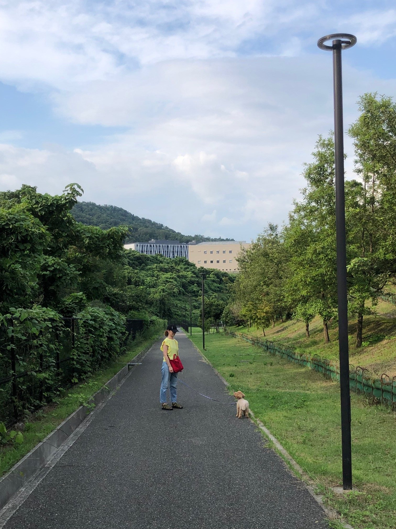 箕面 彩都なないろ公園 ブラン君のお散歩 Play Bow 日本ペットシッターサービス川西店 川西市 宝塚市 池田市