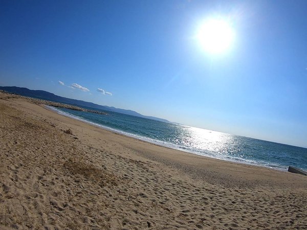 神戸市 明石市のペットシッターamoのブログ 5ページ目 Amo 日本ペットシッターサービス神戸西店 神戸市 明石市 加古川市