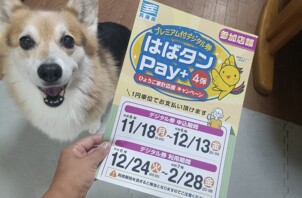 はばタンpay＋  4弾